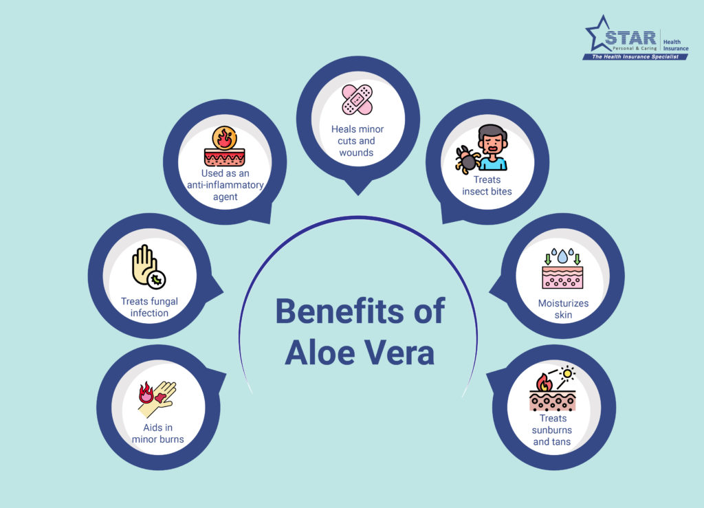 Benefits of Aloe Vera