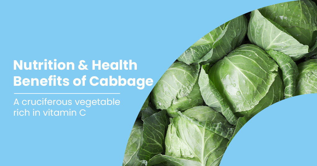 Cabbage - Nutrition & Health Benefits